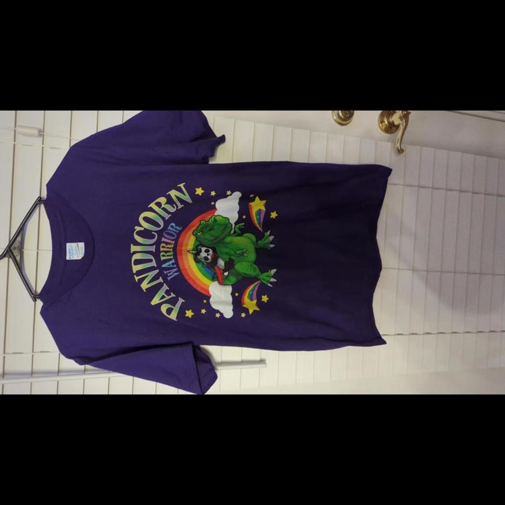 Womens Pandicorn Warrior Tee Shirt Dinosaur and Panda Rainbow Size M